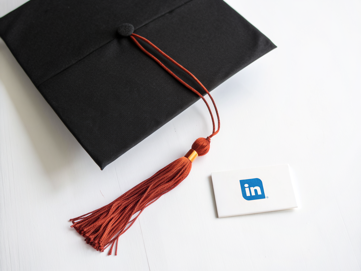 Career & Study section